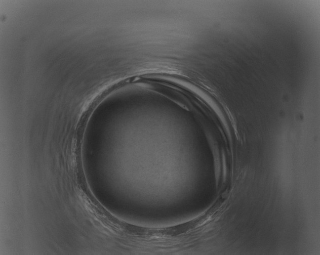 X0000053090387200507181724