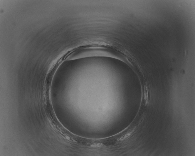 X0000053090388200507181724