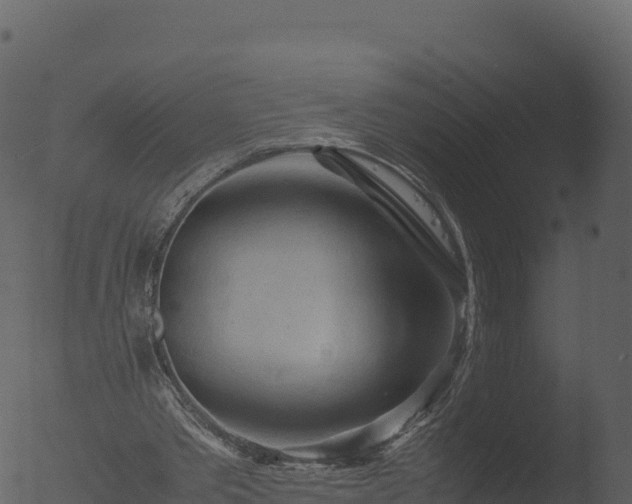 X0000053090389200507181724