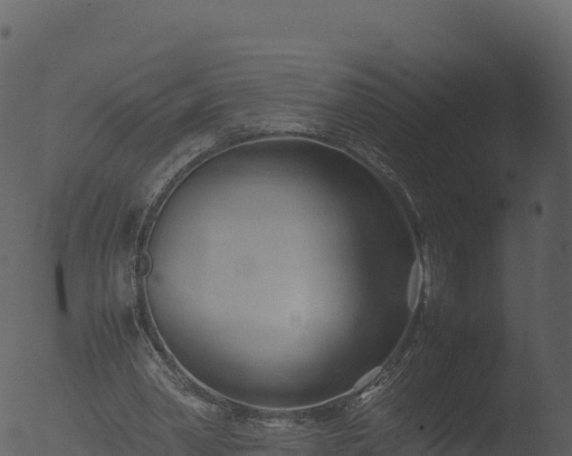 X0000053090390200507181724