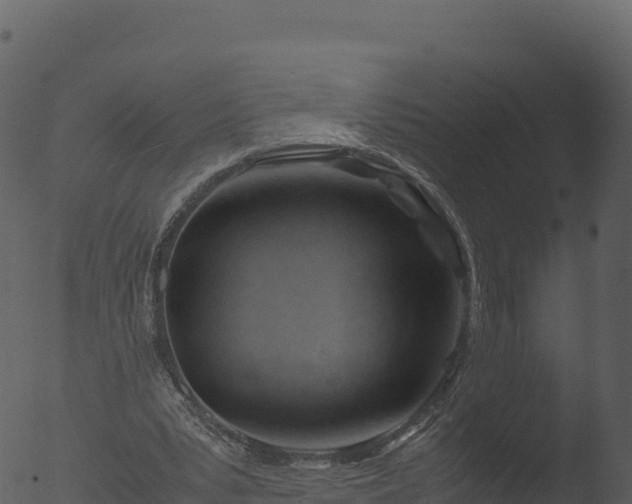 X0000053090391200507181724