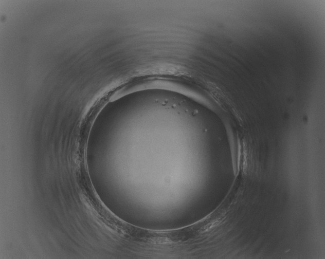 X0000053090392200507181724