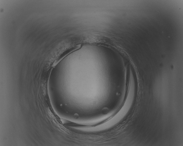 X0000053090393200507181724