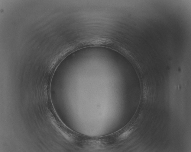 X0000053090394200507181724