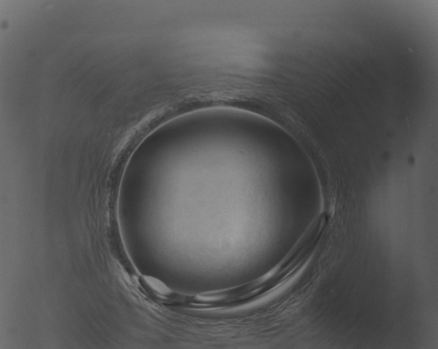 X0000053090395200507181724