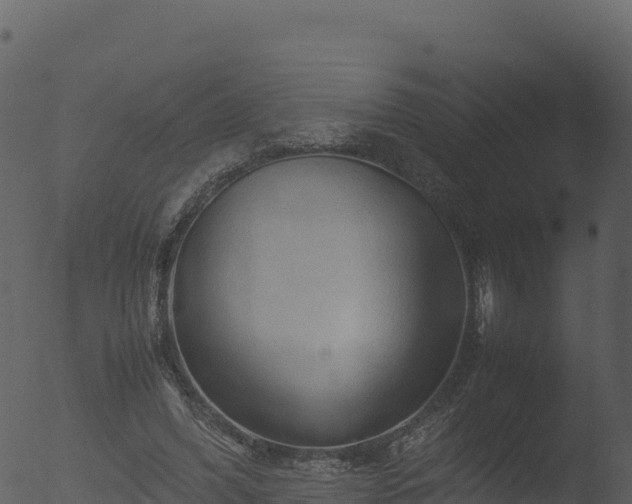 X0000053090396200507181724