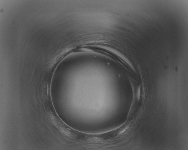 X0000053090397200507181724