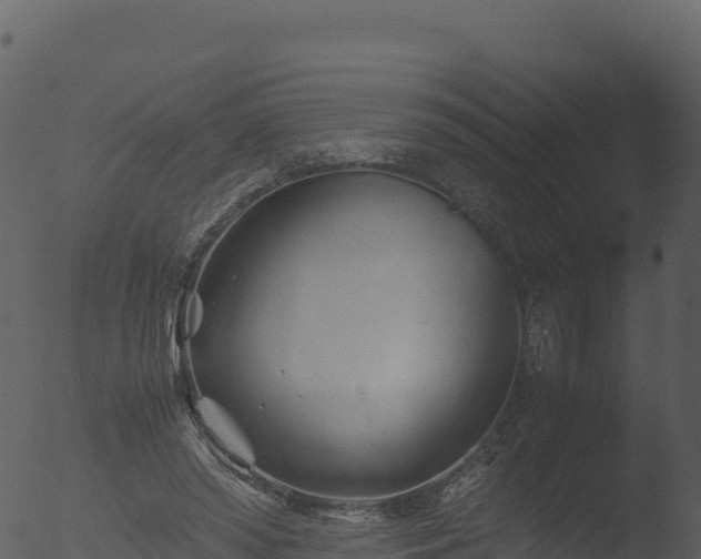 X0000053090398200507181724