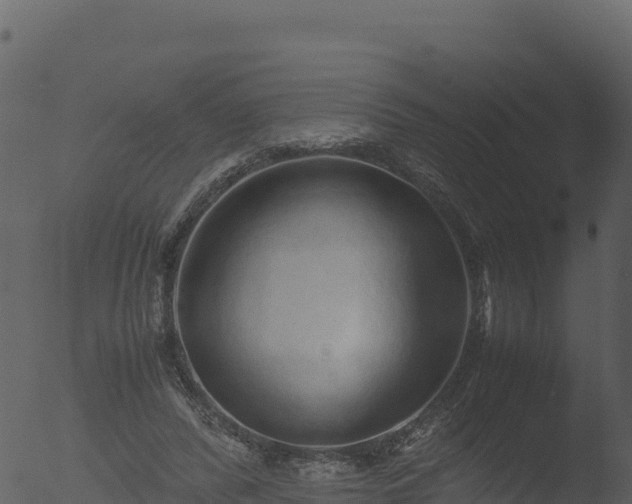 X0000053090400200507181724