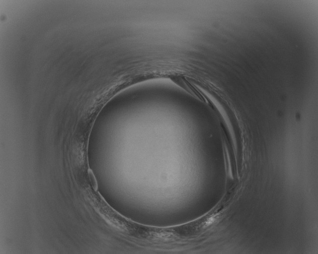 X0000053090401200507181724