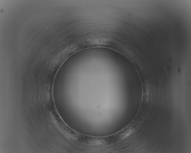 X0000053090402200507181724