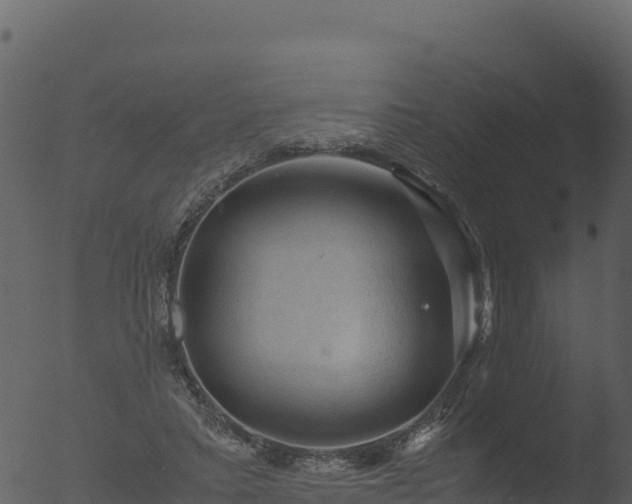 X0000053090403200507181724