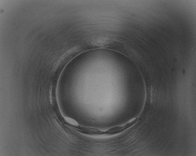 X0000053090404200507181724