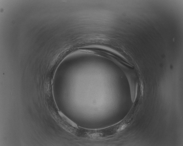 X0000053090407200507181724