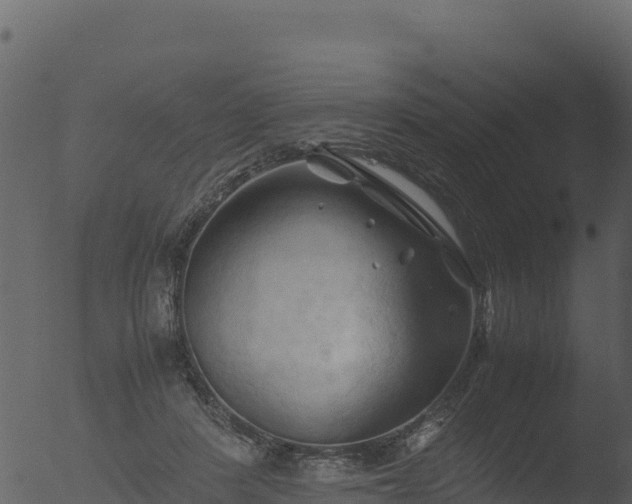 X0000053090408200507181724