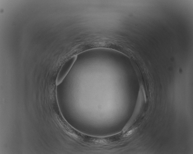 X0000053090409200507181724