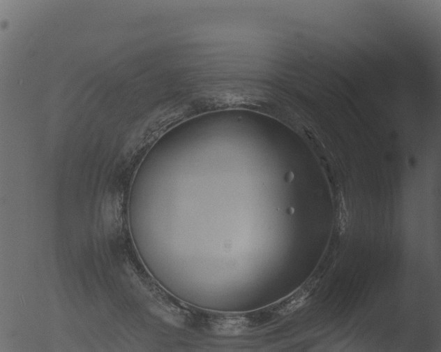 X0000053090410200507181724