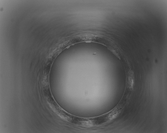 X0000053090411200507181724