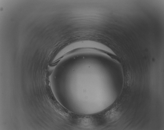 X0000053090412200507181724