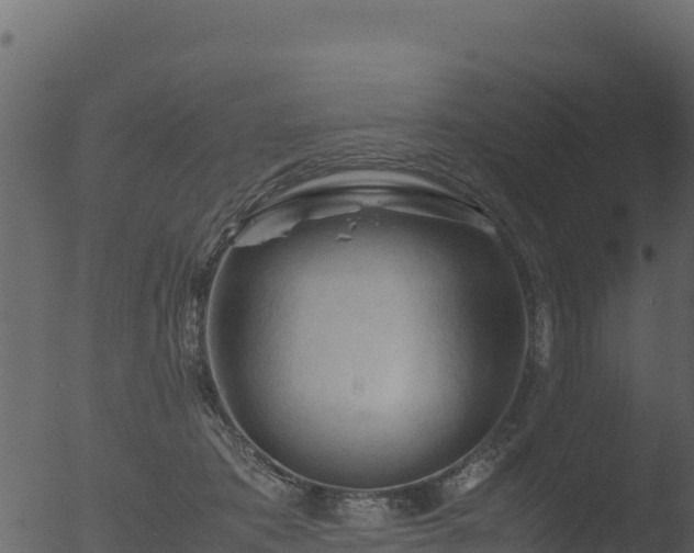 X0000053090413200507181724