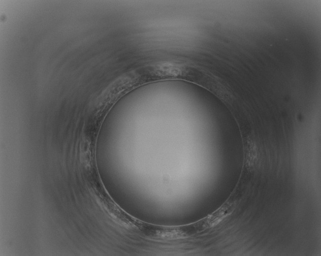 X0000053090414200507181724