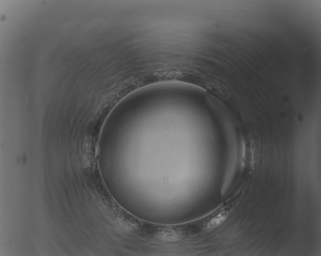 X0000053090416200507181724