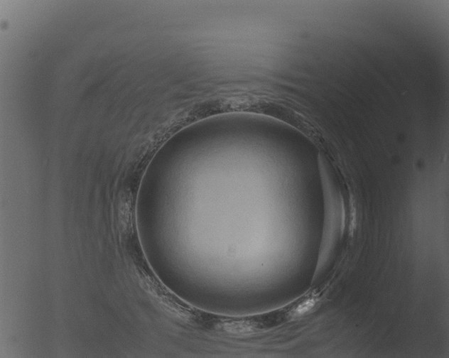 X0000053090417200507181724