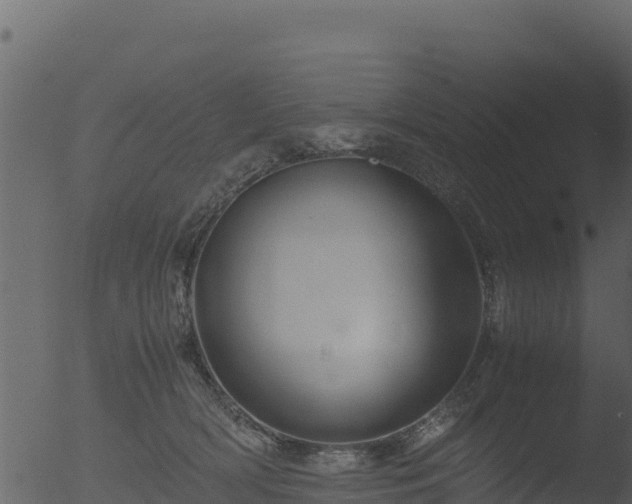 X0000053090418200507181724