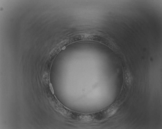 X0000053090419200507181724