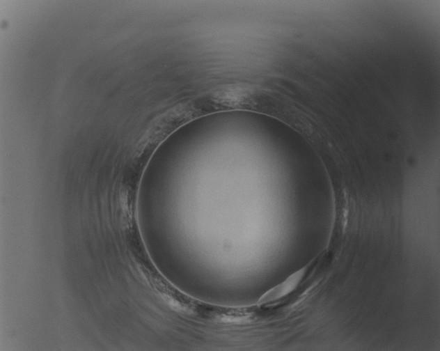 X0000053090420200507181724