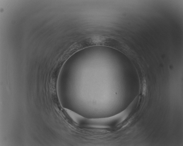 X0000053090421200507181724