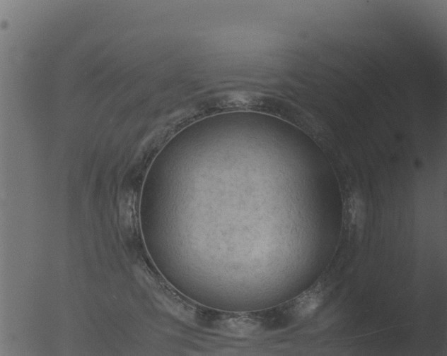 X0000053090423200507181724