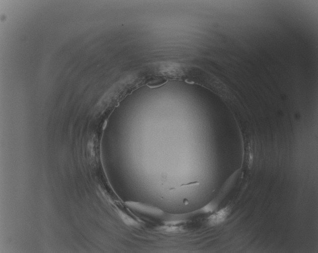 X0000053090424200507181724