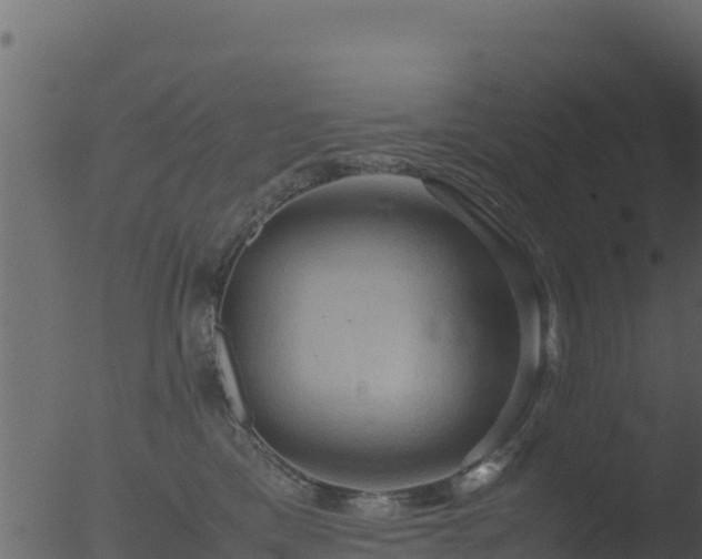 X0000053090425200507181724