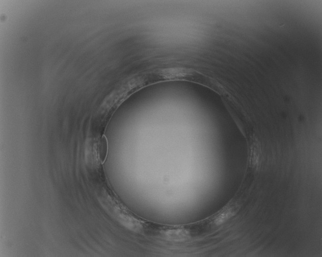 X0000053090426200507181724