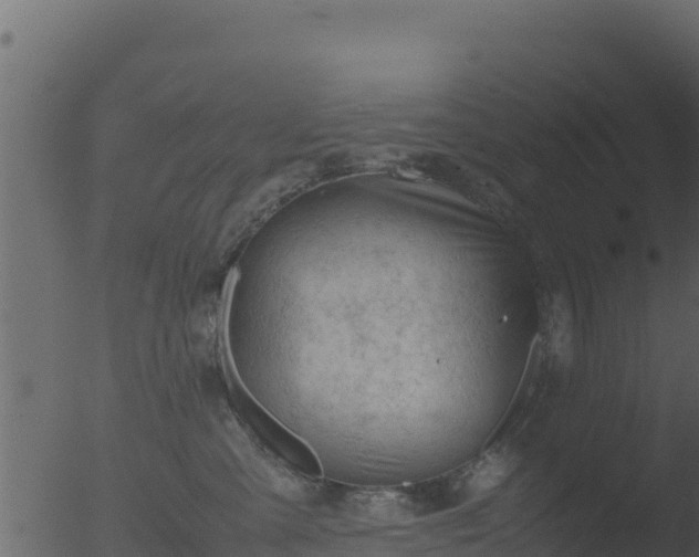 X0000053090427200507181724