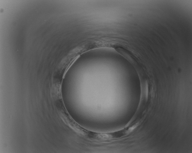 X0000053090429200507181723