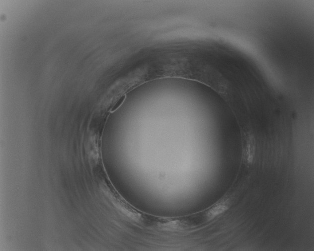 X0000053090430200507181723