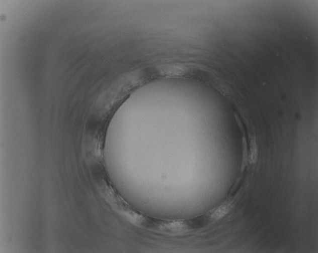 X0000053090431200507181723