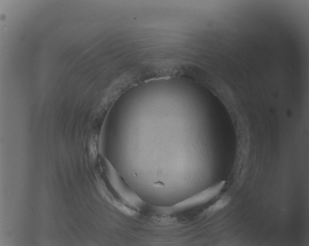 X0000053090432200507181723