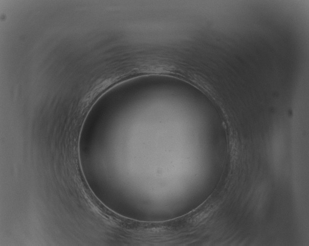 X0000053090433200507181723