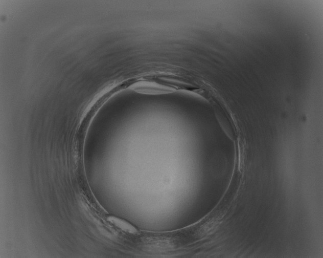 X0000053090435200507181723