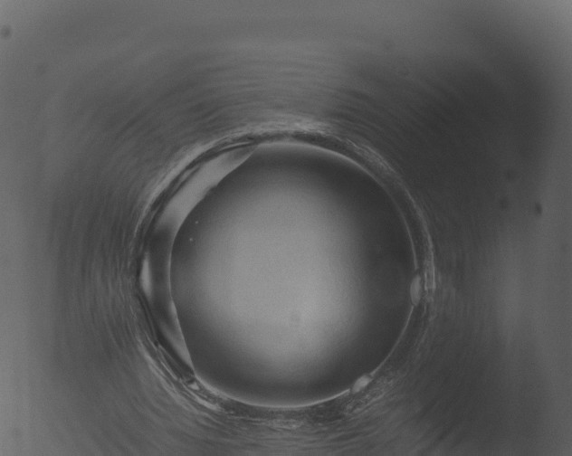 X0000053090436200507181723