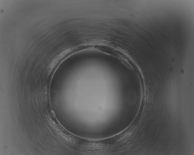 X0000053090437200507181723