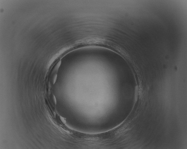 X0000053090438200507181723