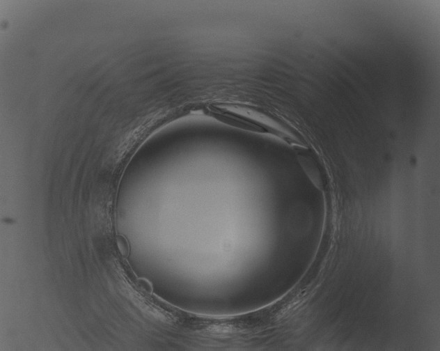 X0000053090441200507181723