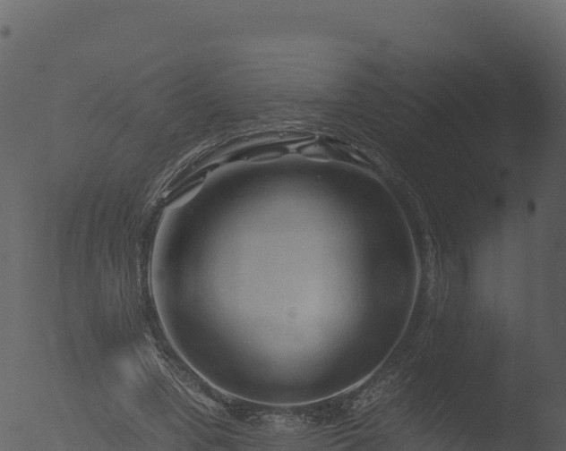 X0000053090442200507181723