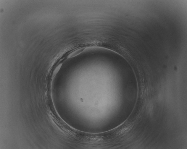 X0000053090443200507181723