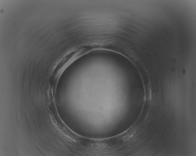 X0000053090444200507181723