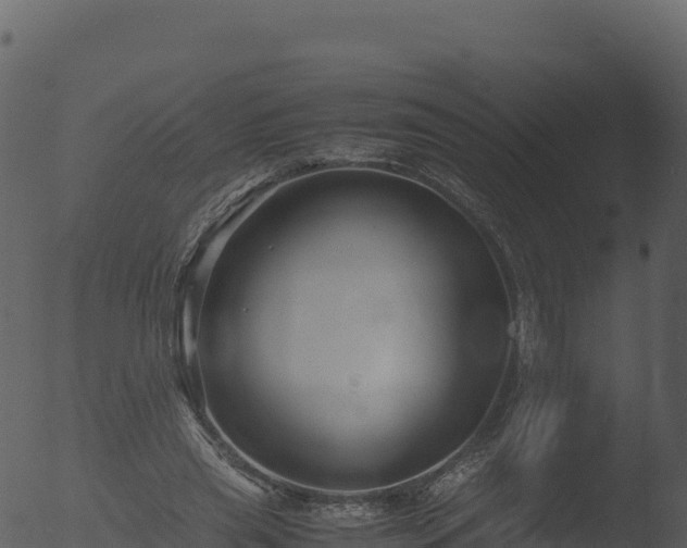 X0000053090445200507181723